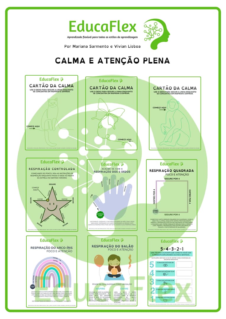 educaflex-calma-e-atencao-plena-amostra