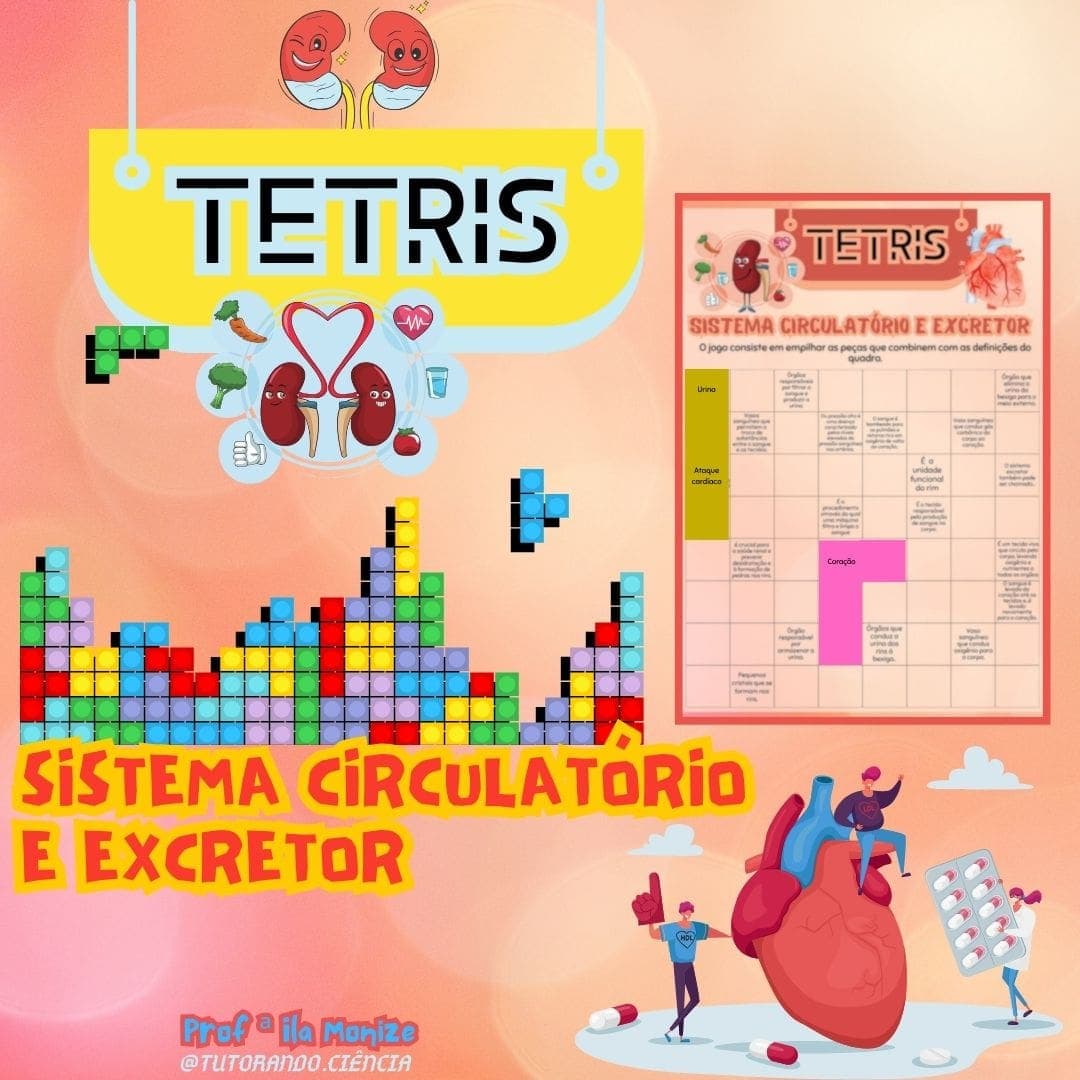 arte-tetris-sistema-circulatorio-e-excretor