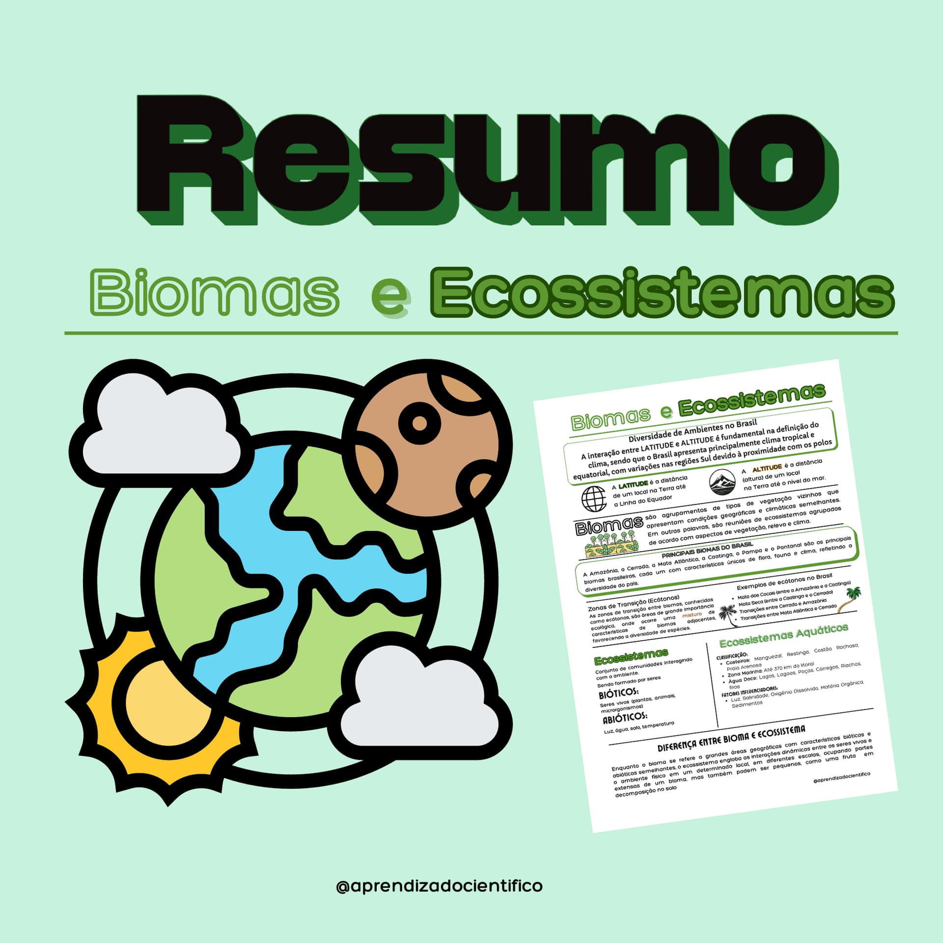 resumo-biomas-e-ecossistemas-500-x-500-mm