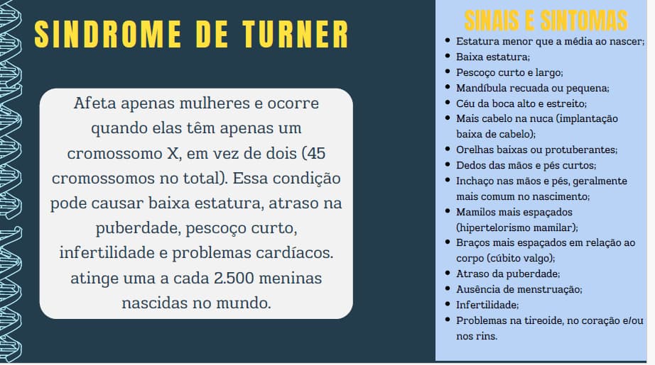 captura-de-tela-2024-09-24-231909