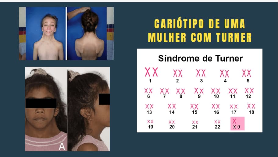 captura-de-tela-2024-09-24-231942