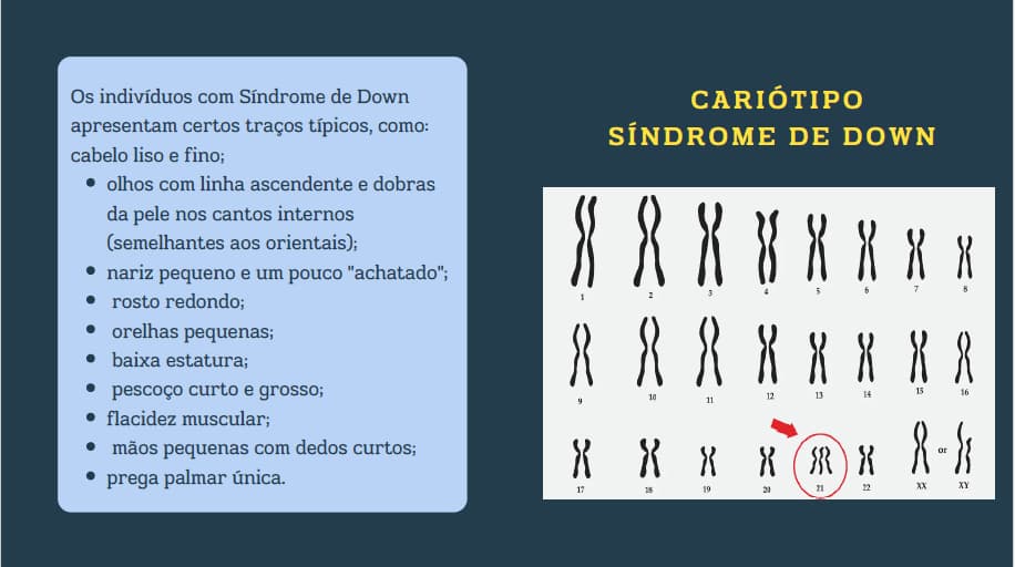 captura-de-tela-2024-09-24-232023