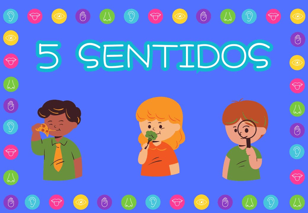 5-sentidos-3