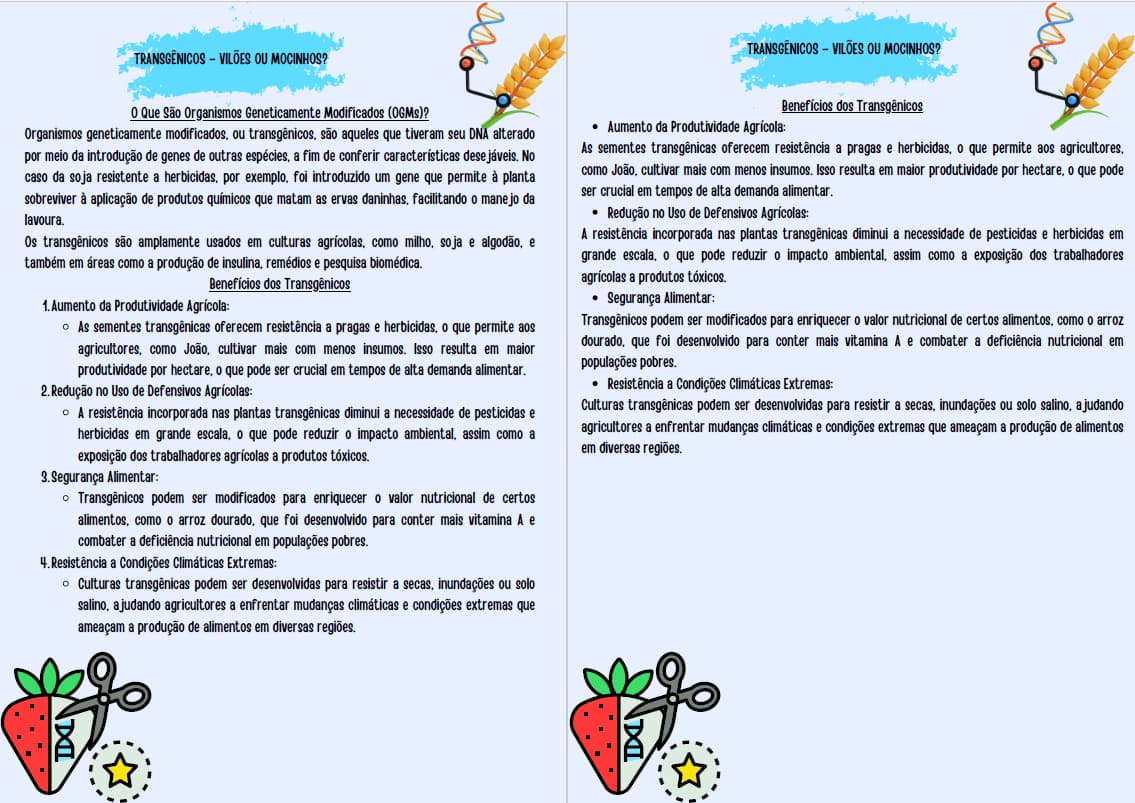 captura-de-tela-2024-10-06-083214