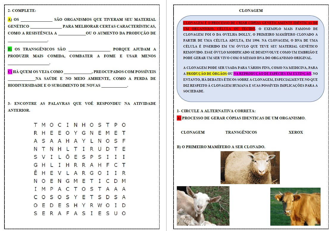 captura-de-tela-2024-10-11-081236