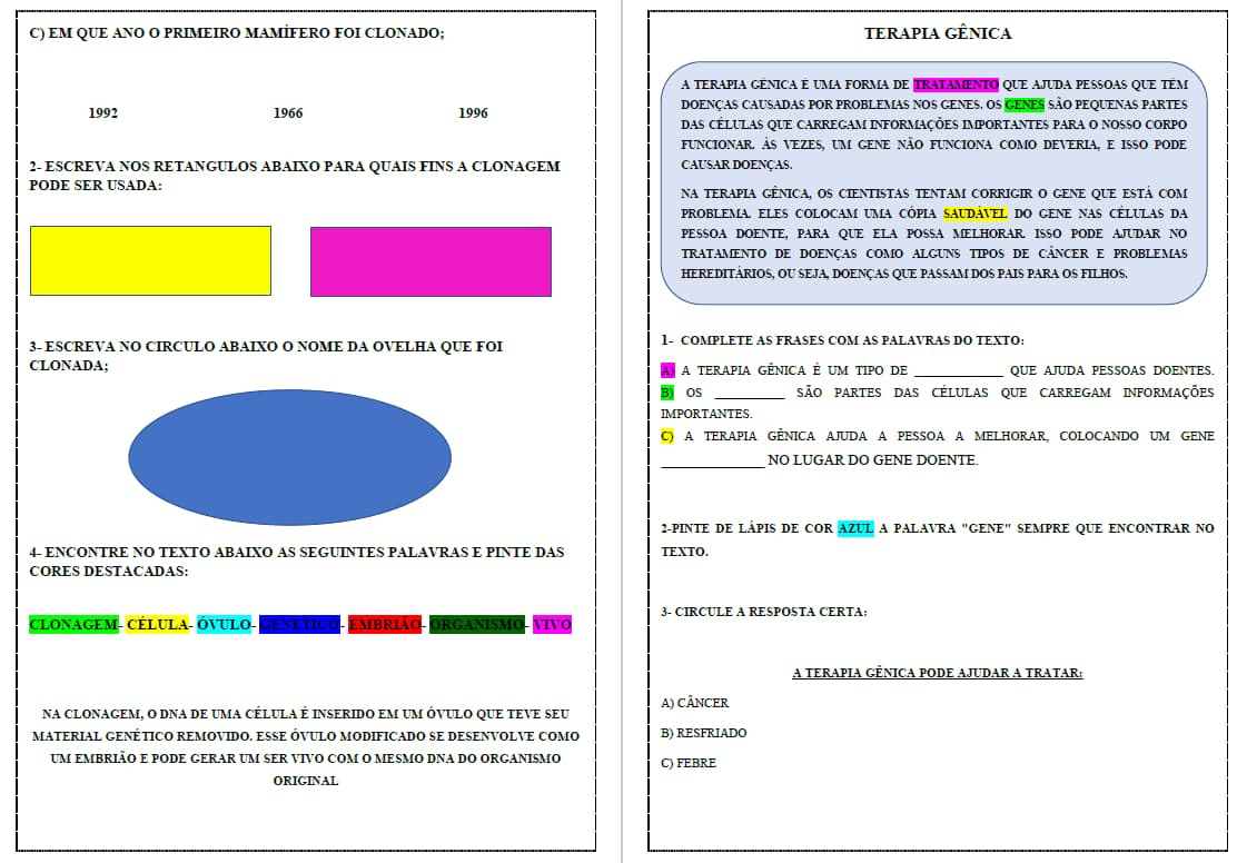 captura-de-tela-2024-10-11-081258