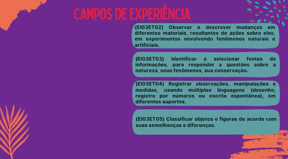 imagem2na2
