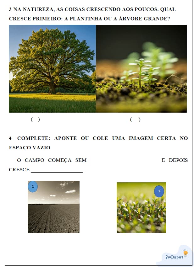 captura-de-tela-2024-11-07-163826
