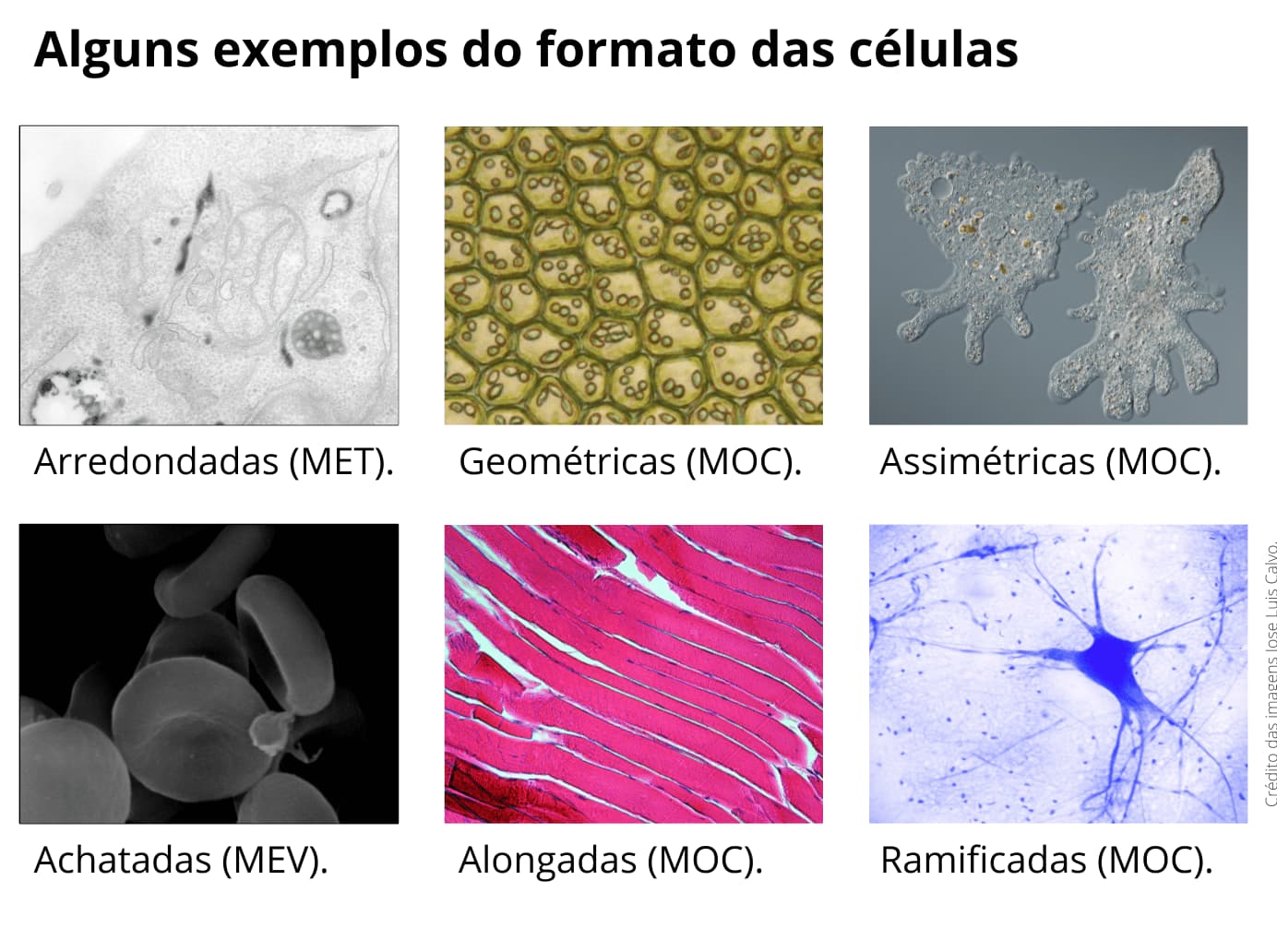 sem-titulo3