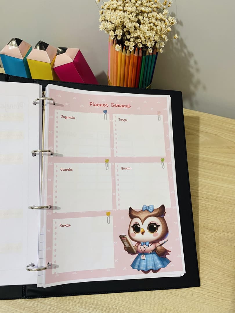 planner-corujinha4