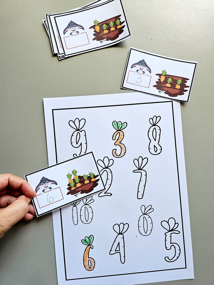 126-1-foto-cenouras-e-numeros-contagem-2