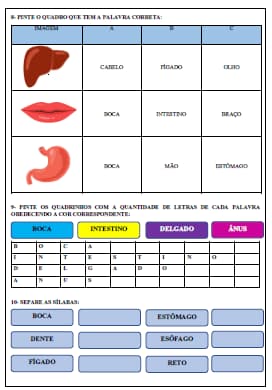 captura-de-tela-2025-05-01-223427