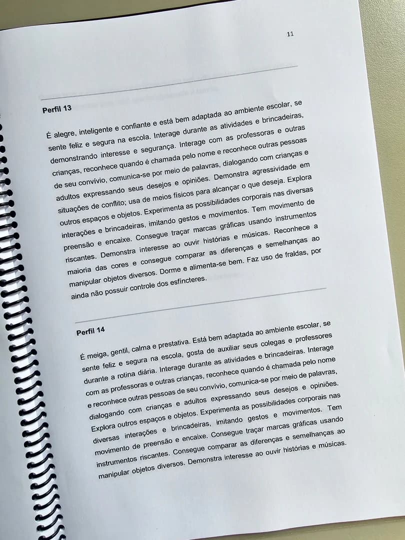172-1-foto-ebook-relatorios-individuais-1