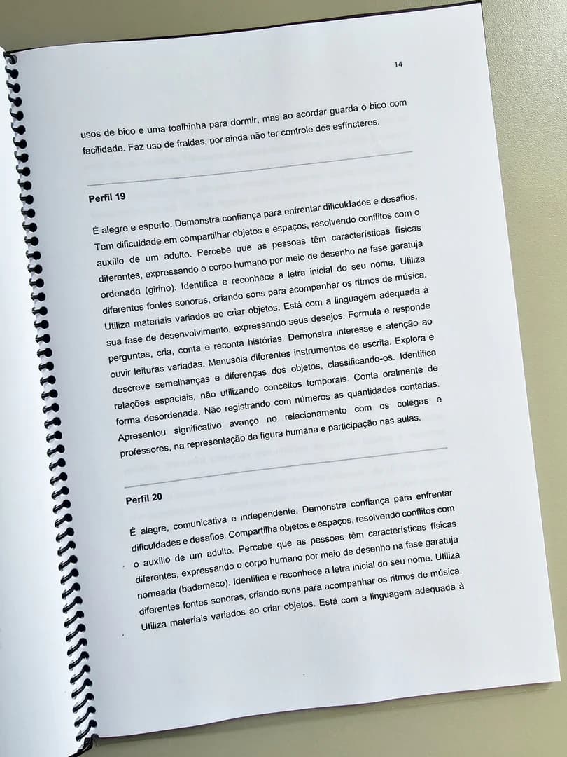 172-1-foto-ebook-relatorios-individuais-2