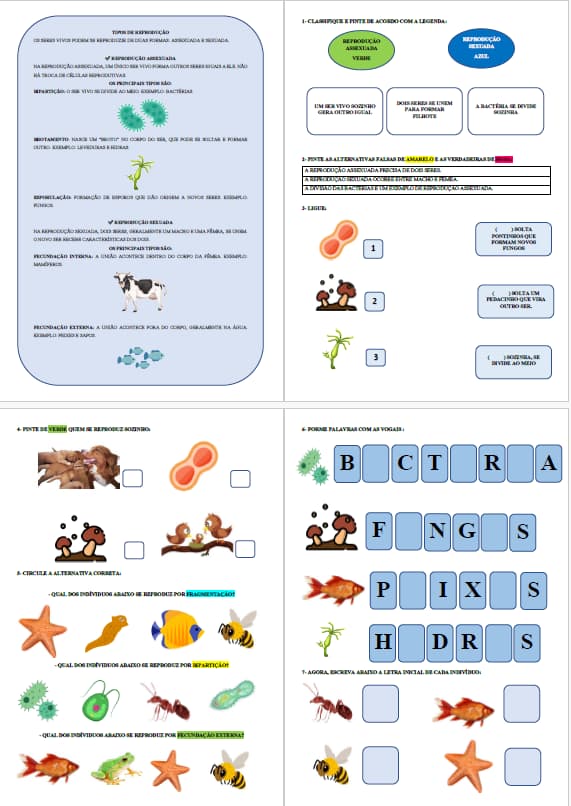 captura-de-tela-2025-06-03-194621