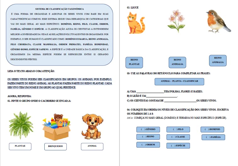 captura-de-tela-2025-06-14-112110
