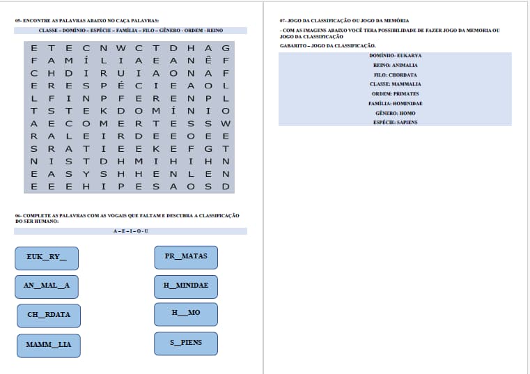 captura-de-tela-2025-06-14-112131