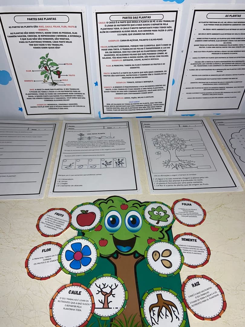 whatsapp-image-2024-09-20-at-18-30-57-2