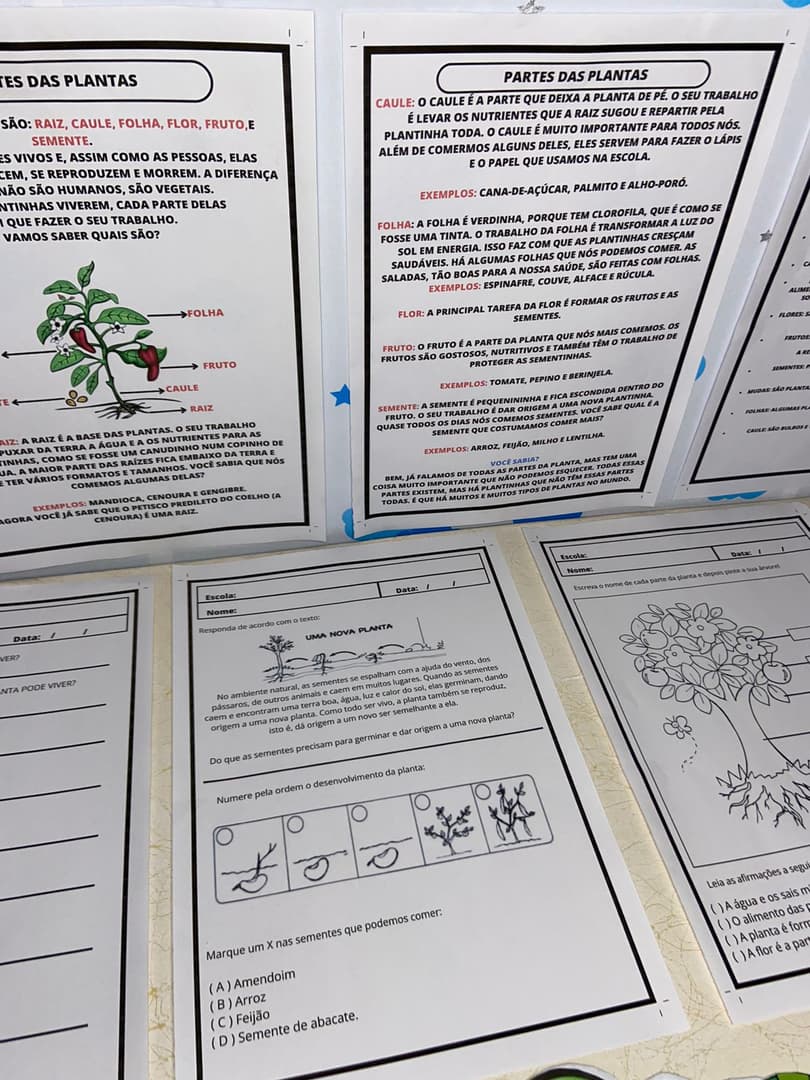 whatsapp-image-2024-09-20-at-18-30-58-2