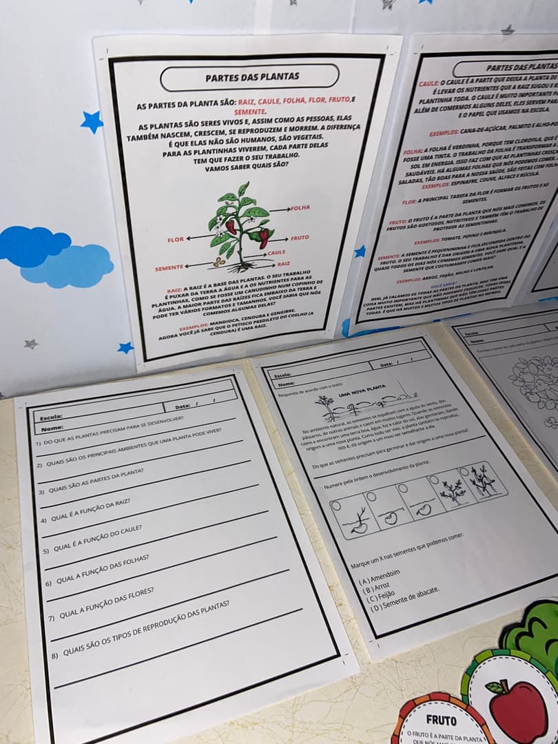 whatsapp-image-2024-09-20-at-18-31-00-2