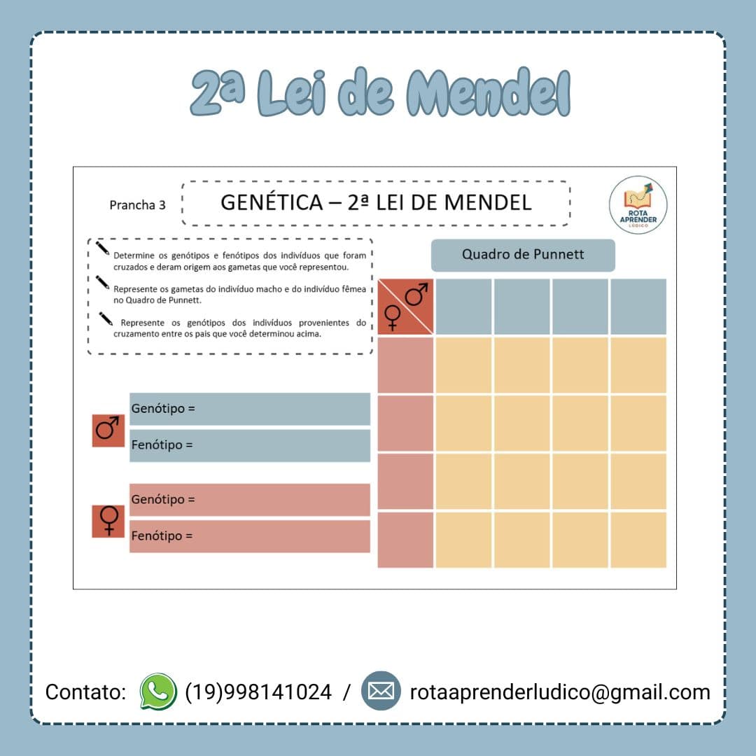 2a-lei-de-mendel-capa-3
