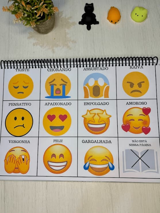 captura-de-tela-2025-07-29-145822-2