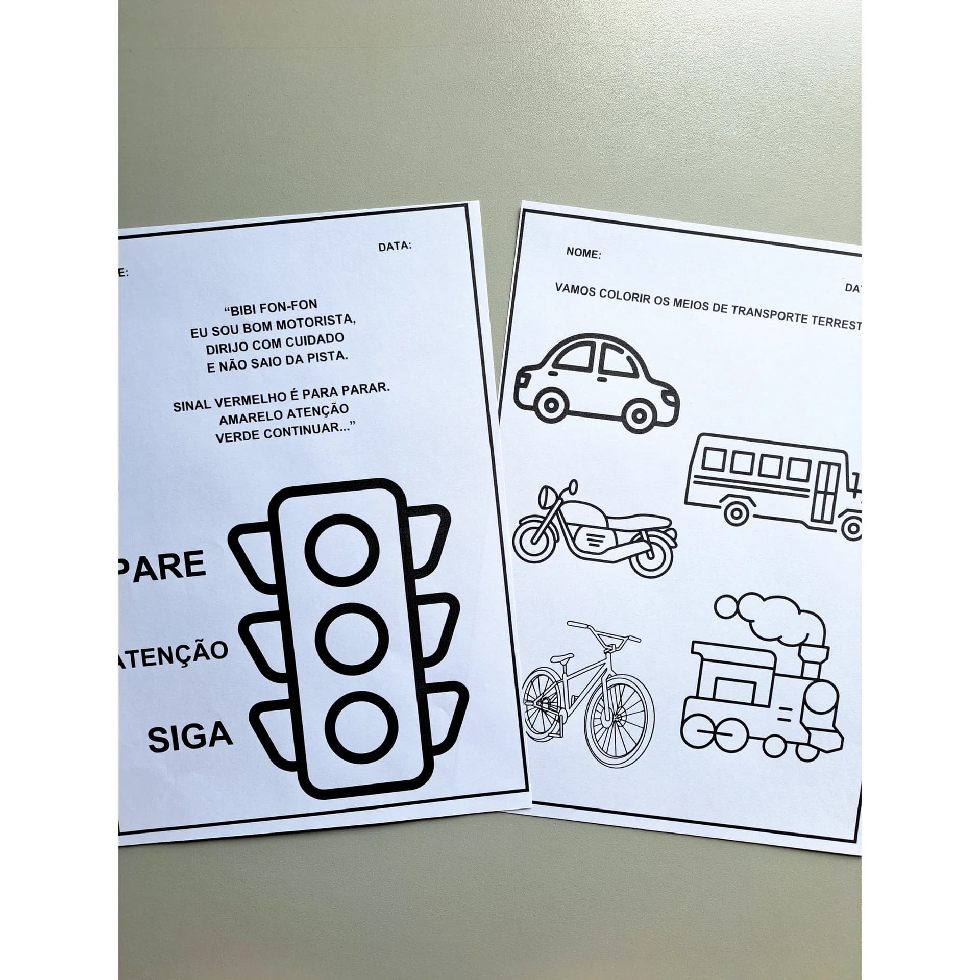 53-foto-meu-livro-de-atividades-dia-do-transito-1-2