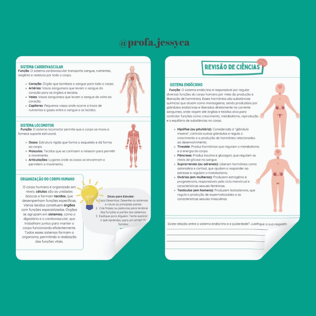 capas-para-a-lojinha-17-2