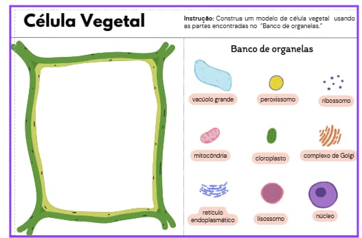 captura-de-tela-2025-08-18-213526
