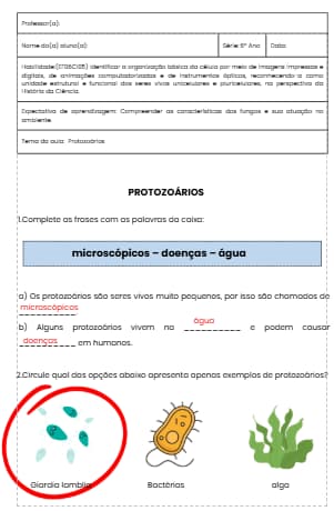 captura-de-tela-2025-08-18-213746