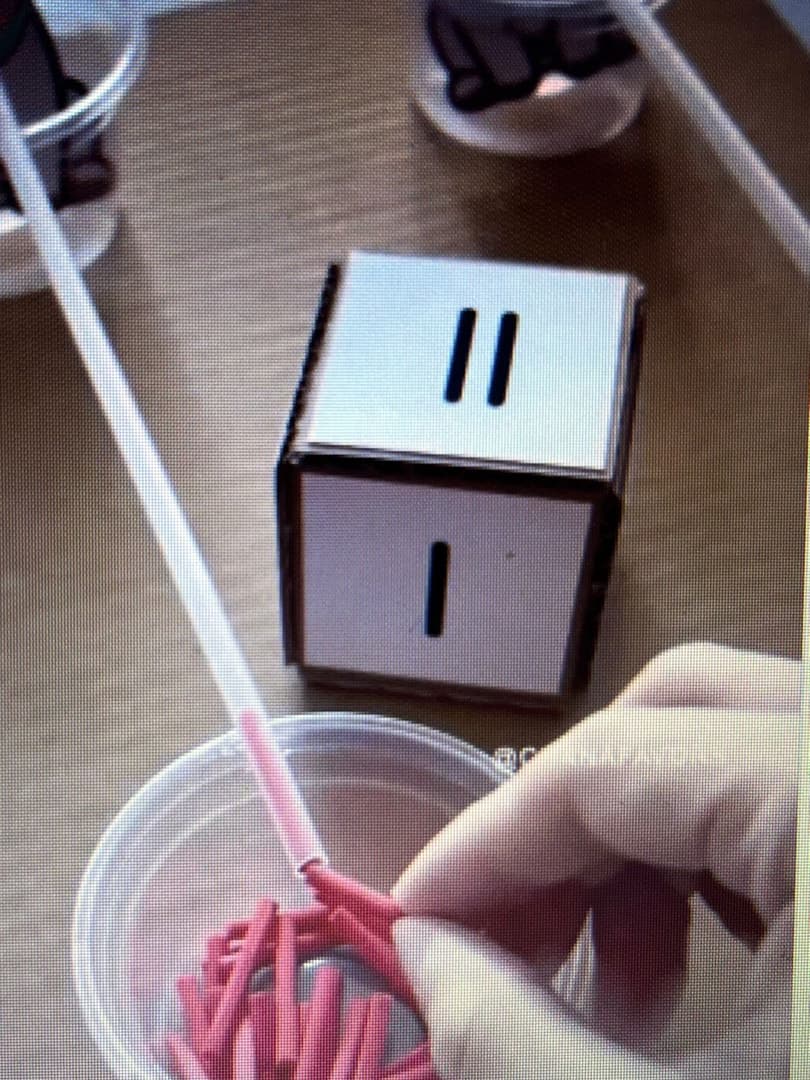 whatsapp-image-2025-08-02-at-12-29-37-1