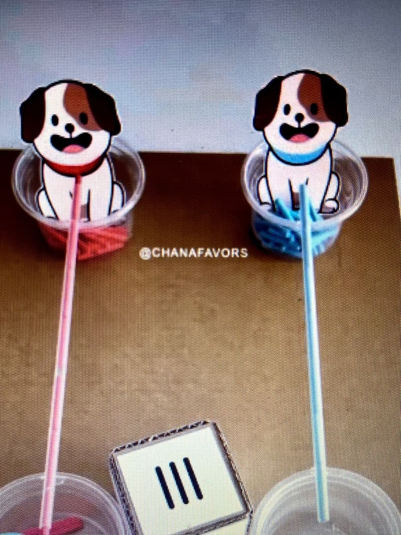 whatsapp-image-2025-08-02-at-12-29-38-2