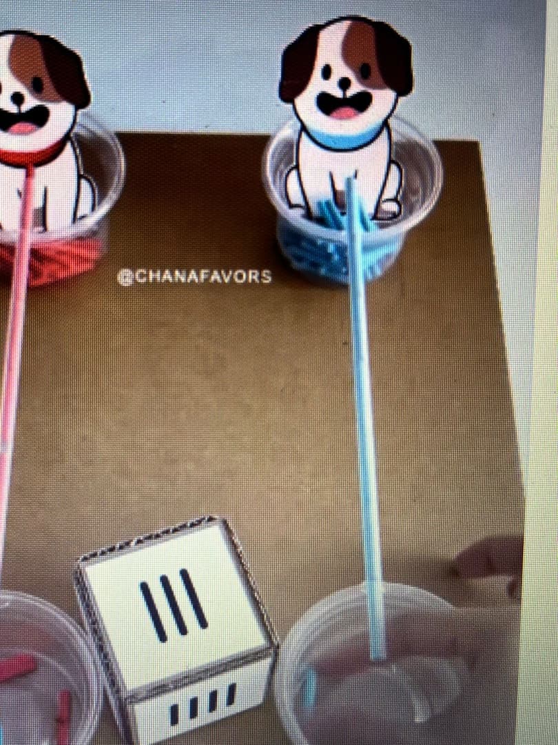 whatsapp-image-2025-08-02-at-12-29-38-3