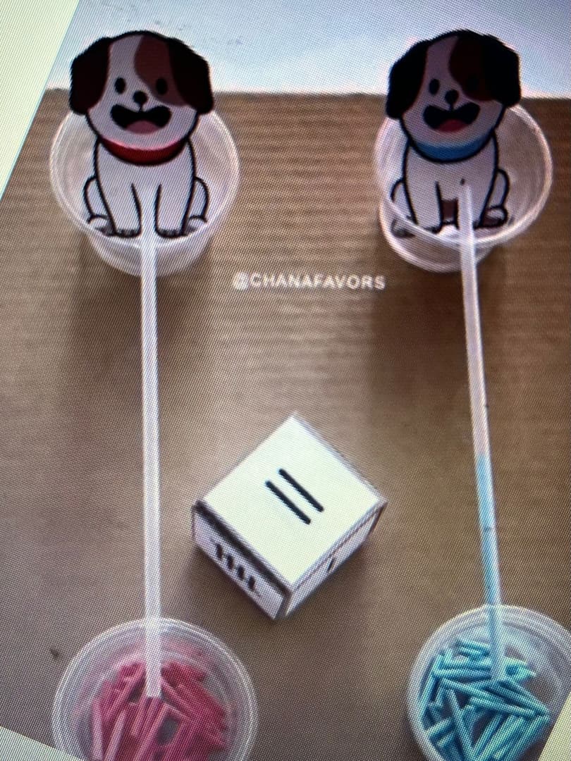 whatsapp-image-2025-08-02-at-12-29-38