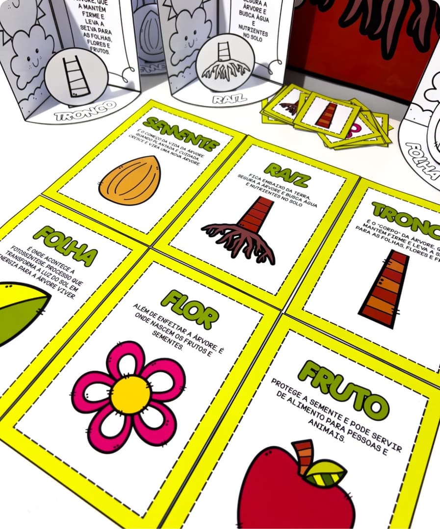 imagem-do-whatsapp-de-2025-09-11-as-15-27-23_b9d428c8-2