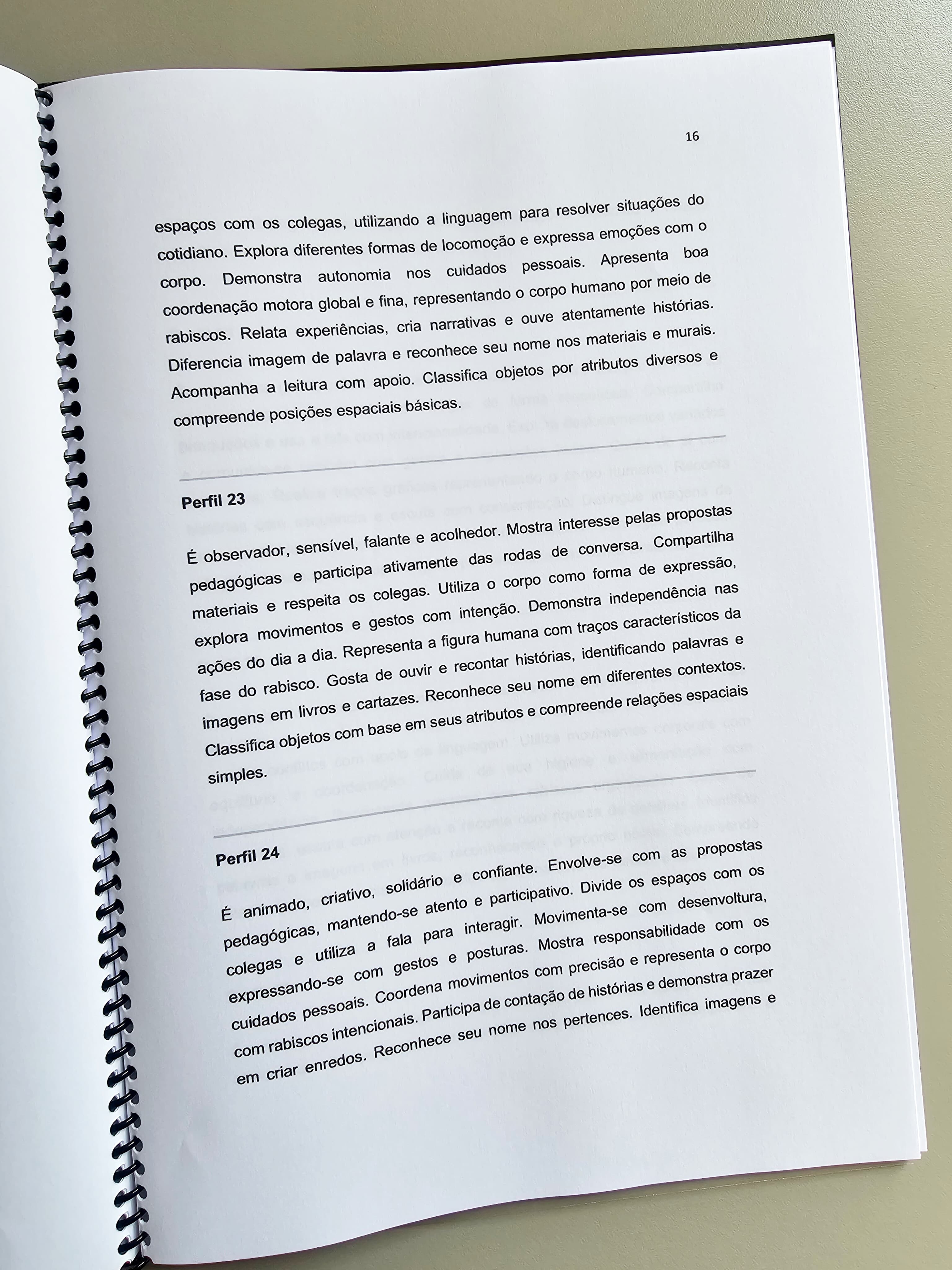 172.1) Foto ebook relatorios individuais (4).jpg