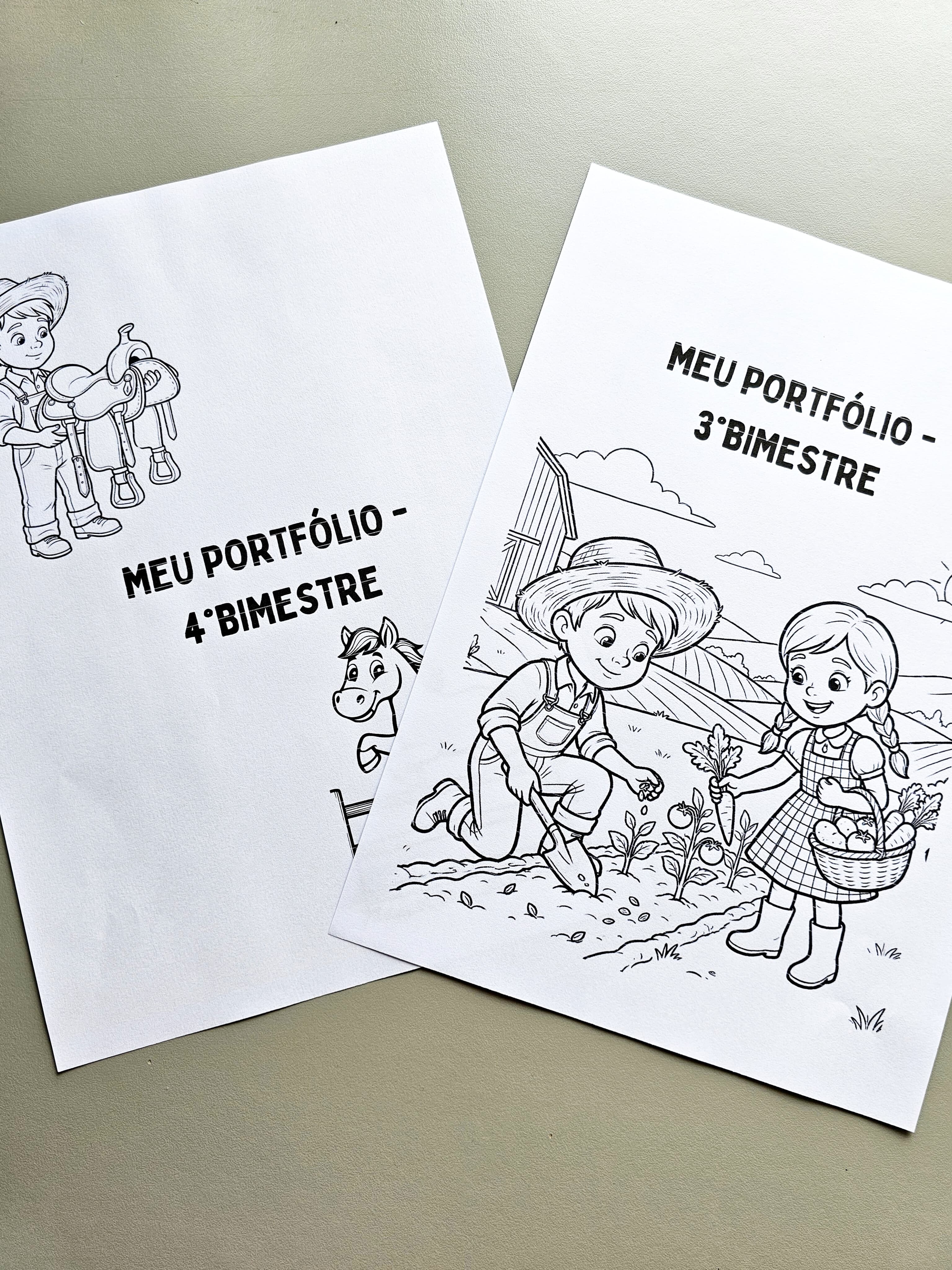 19.1) Foto Portfolio Fazendinha 2026 (7).jpg