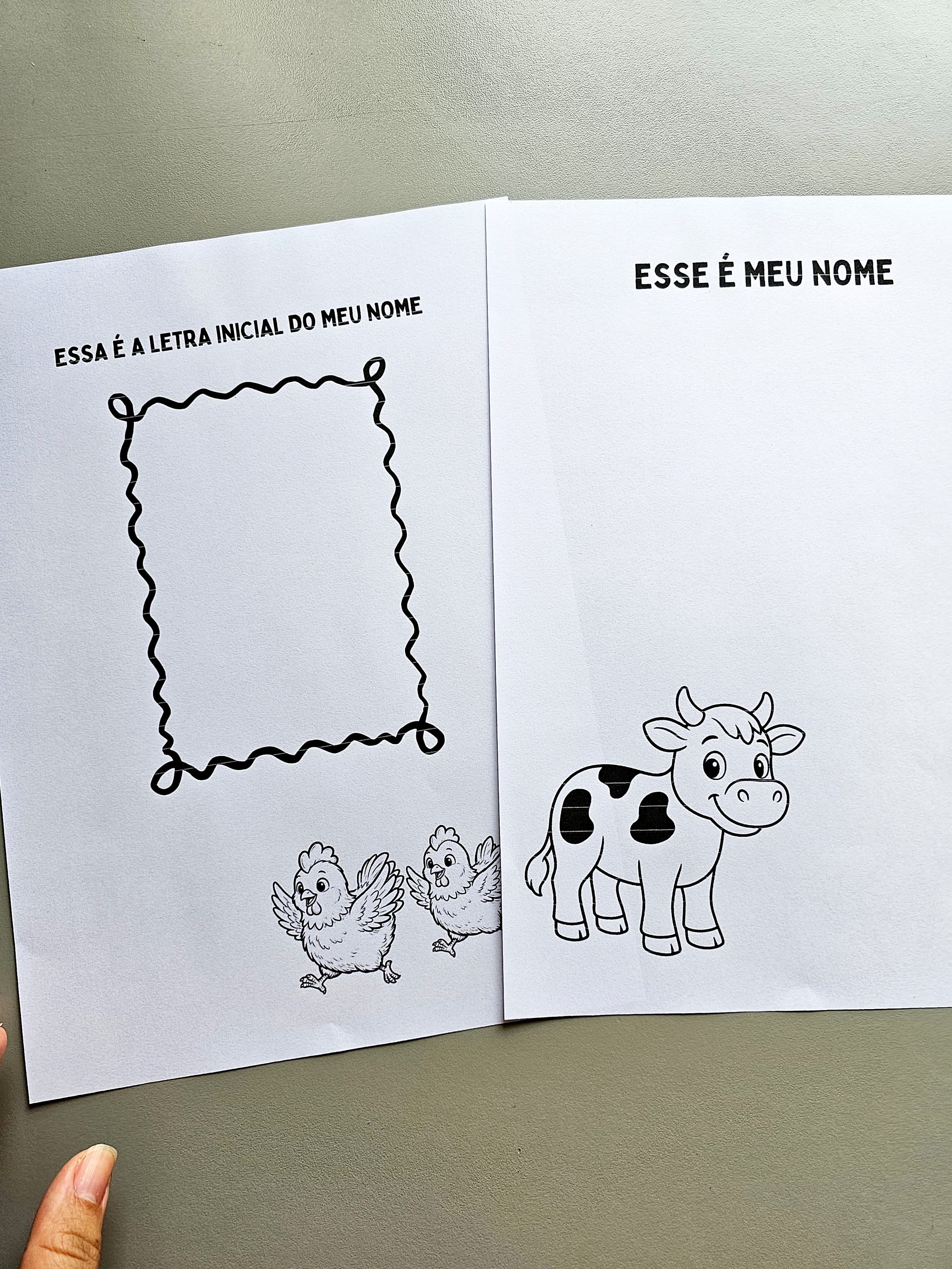 19.1) Foto Portfolio Fazendinha 2026 (2).jpg