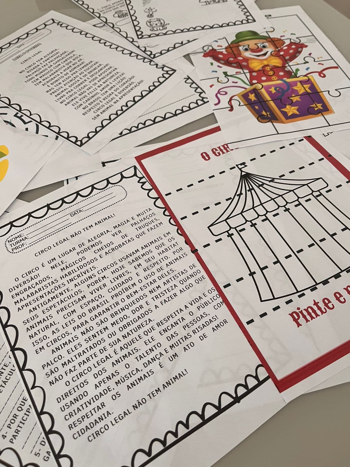 WhatsApp Image 2026-02-22 at 20.26.51.jpeg