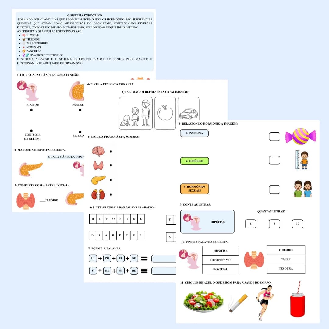 2.webp