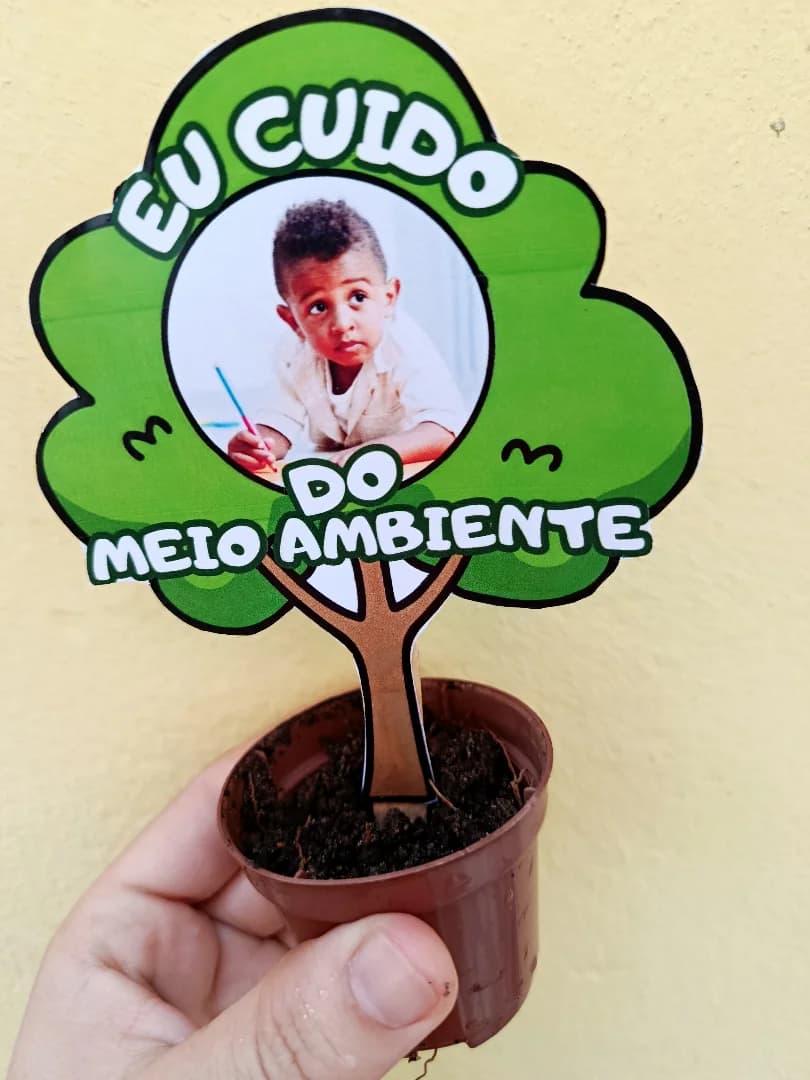 Cópia de InShot_20260516_090950538.webp