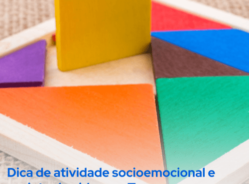 Capa do produto Atividade socioemocional e projeto de vida com Tangram