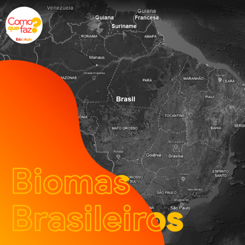 Capa do material Biomas Brasileiros